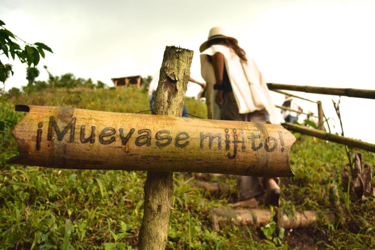 Finca Del Cafe - Casa Typica Santa Rosa de Cabal Dış mekan fotoğraf