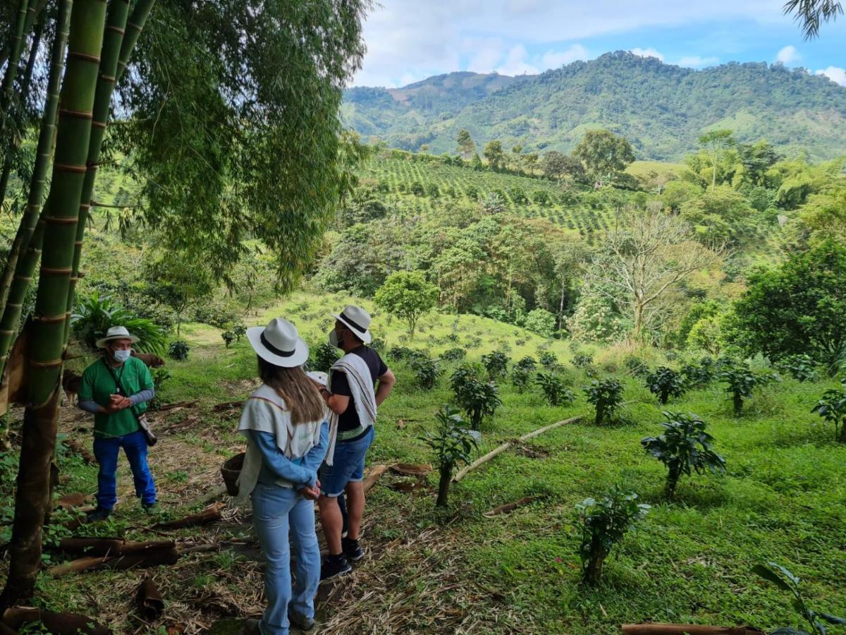 Finca Del Cafe - Casa Typica Santa Rosa de Cabal Dış mekan fotoğraf